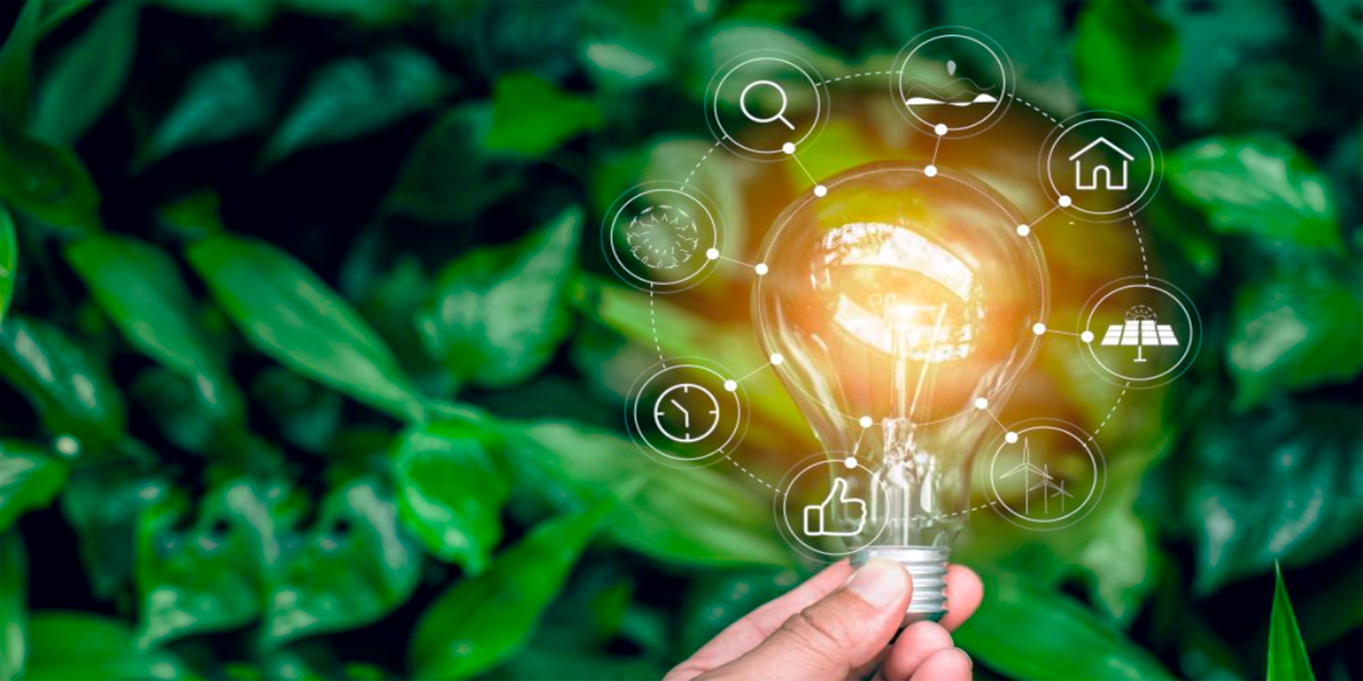 Eco-Marketing Strategies